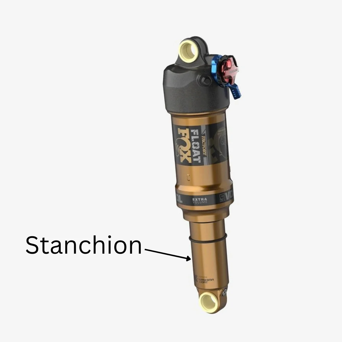 Diagram identifying the stanchion on a rear shock